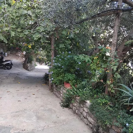 Holiday home - Casa Alina Positano