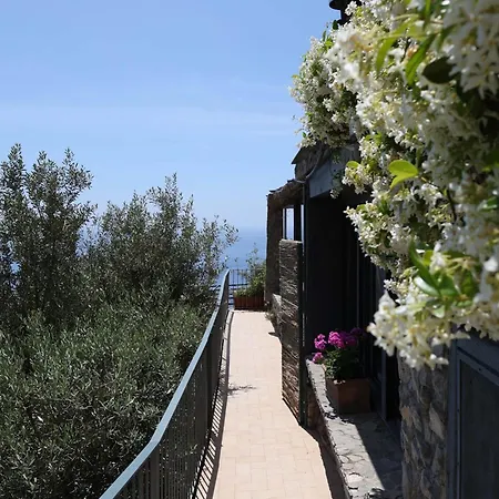 - Casa Alina *