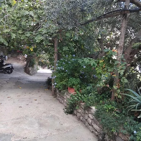 - Casa Alina Holiday home *
